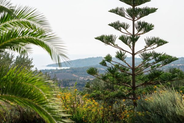 Villa-Rabia-Exterior (9)